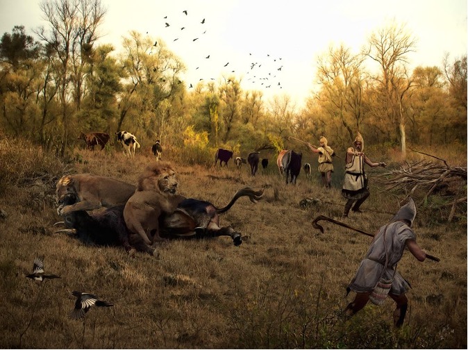 The Decline of European Megafauna: Tracing Human Impact Through the ...