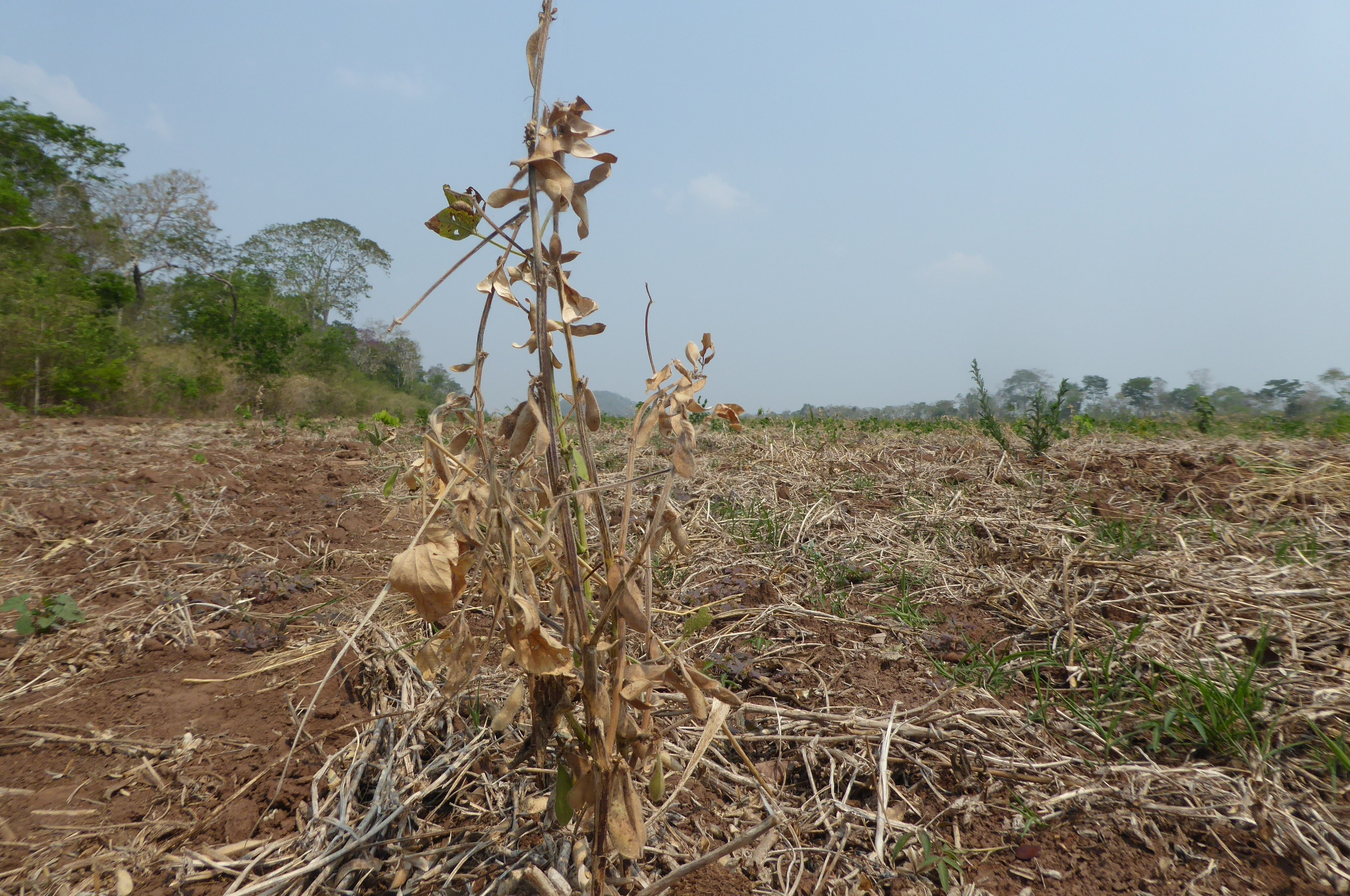 Integrating Land System Science and Conservation Science | Conservation ...