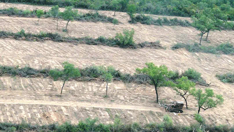 Charting Future Pathways of Social-Ecological Impacts in the Gran Chaco