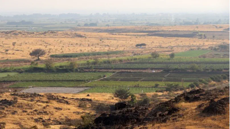 Good crop bad crop? Novel insights into land use change drivers of winter bird assemblage in India's agriculture-savanna mosaics