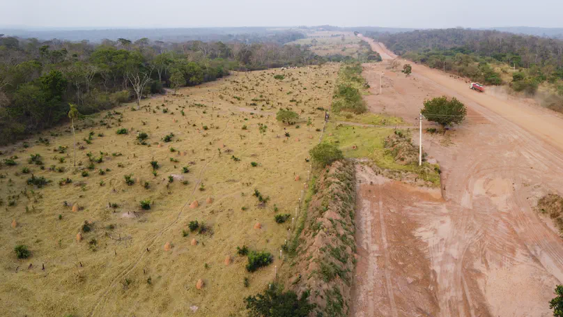 We traced how soy and beef production in Argentina and Paraguay impact mammal diversity—and who’s driving it. Spoiler: It’s not just exports. 