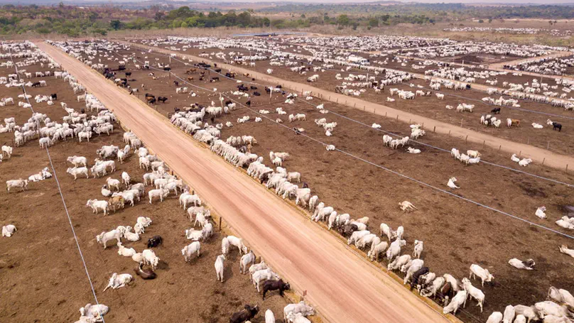 Putting landless cattle on the map!