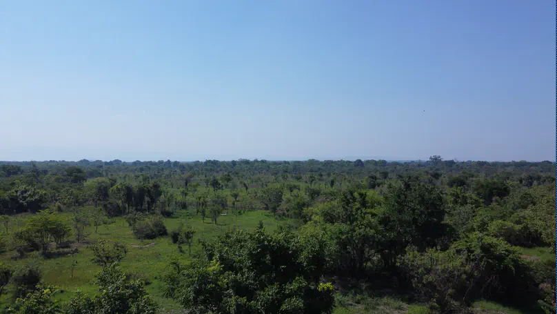 No Farm, No Forest, No reclaimed access