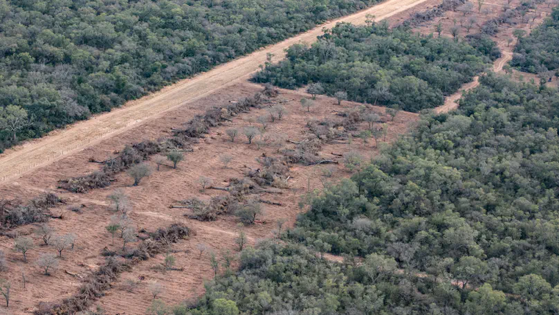 Introducing the R package frontiermetrics: how does deforestation progress in space and time?