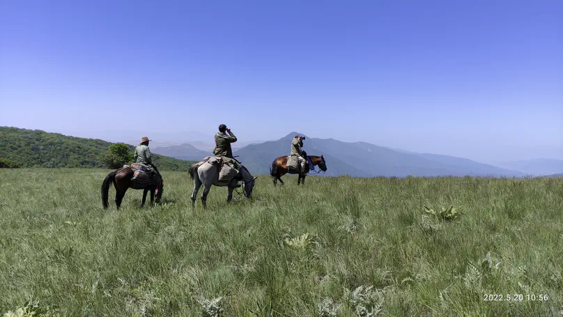 Conservation Rangers Urgently Need Mental Health Provision