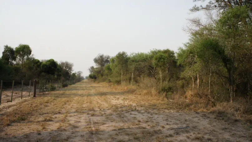 Edge effects of more than 700m highlight that the outcomes of deforestation reach far beyond the deforestation itself