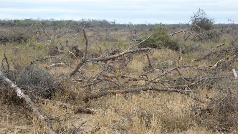 A new way of using satellite imagery to reconstruct land-use processes