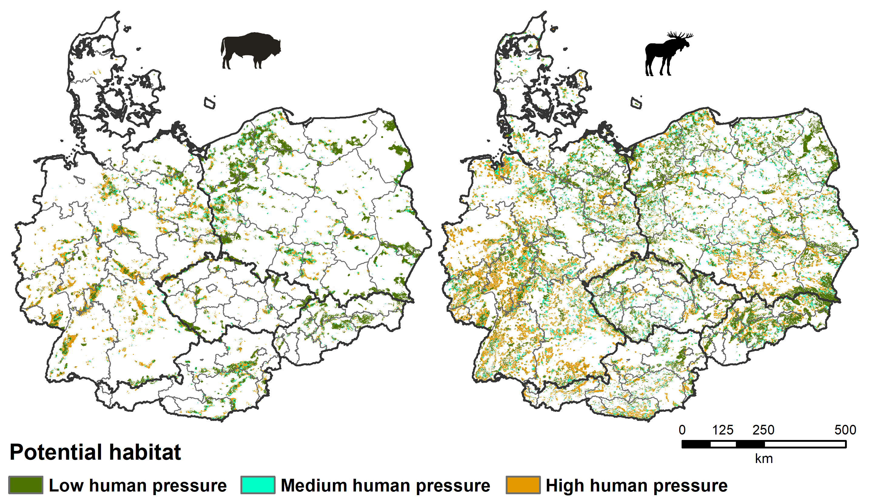 Understanding the potential for a comeback of large herbivores in ...