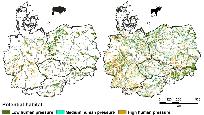 Understanding the potential for a comeback of large herbivores in Europe