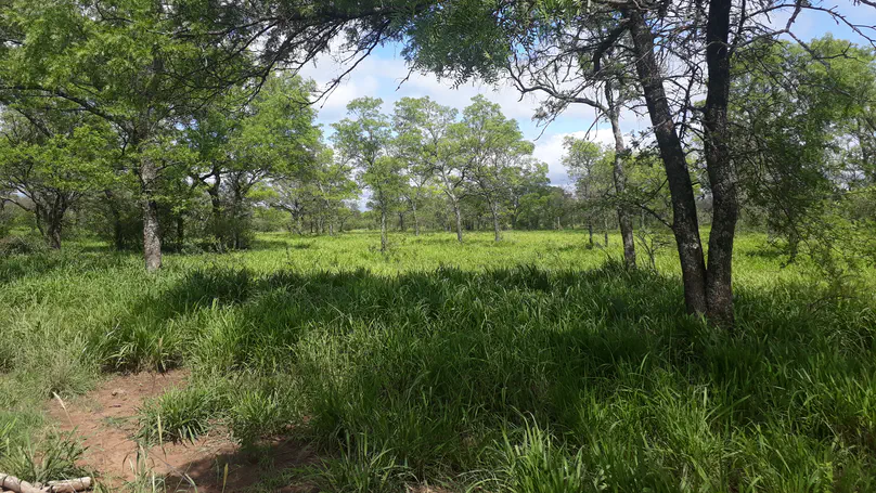 More sustainable ranching is possible in Dry Chaco!