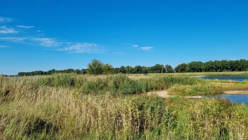 New Postdoc Position on assessing rewilding opportunities in freshwater systems