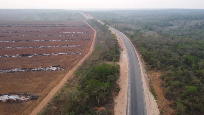 Disentangling the numbers behind agriculture-driven tropical deforestation