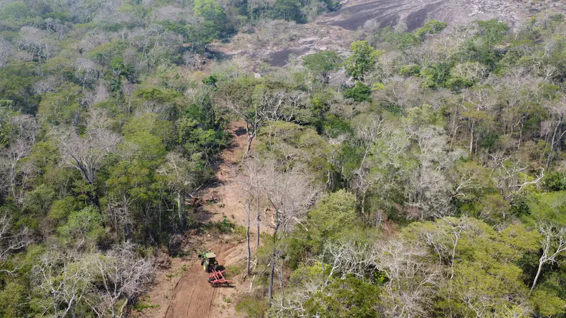 Intensifying agriculture does not save forests – but Indigenous land stewardships does