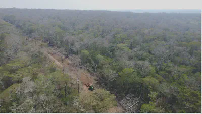 Aerial view of dry forest being cleared in the Bolivian Chiquitanía