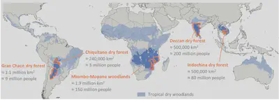 Map displaying Global extent of tropical dry woodland and the five focus regions: 1) Gran Chaco dry forest, ca. 1.1 mio sqkm & 9 mio people. 2) Chiquitano dry forest, ca. 240,000 sqkm & 3 mio people. 3) Miombo-Mopane woodlands, ca. 1.9 mio sqkm & 150 mio people. 4) Deccan dry forest, ca. 500,000 sqkm & 200 mio people. 5) Indochina dry forest, ca. 500,000 sqkm & 50 mio people.