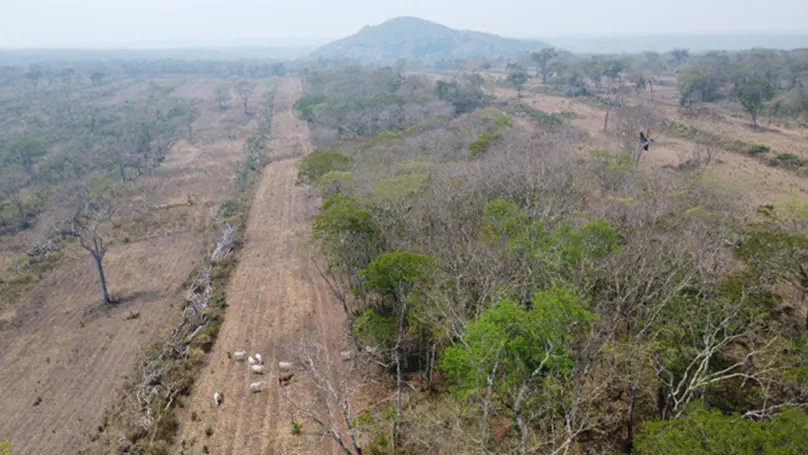 Developing a typology of land systems for better conservation planning