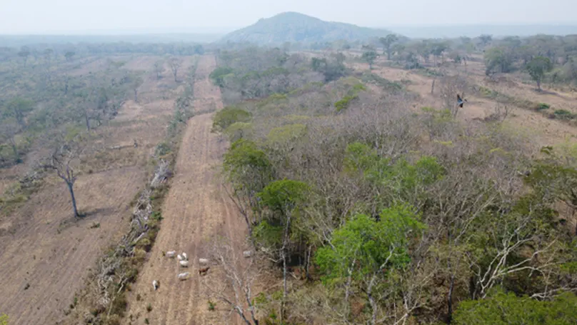 Land uses, and the people involved, are too diverse to be represented by land cover proxies!