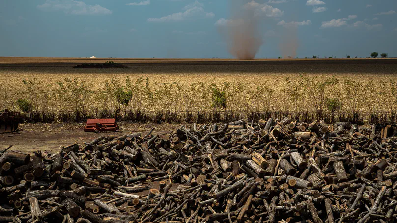 Infrastructure and export orientation increase the stickiness of commodity supply chains
