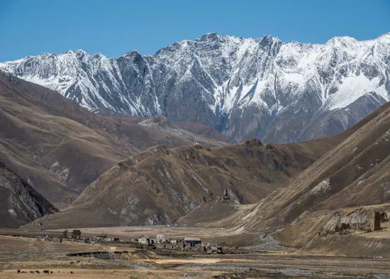 Towards Adoption ...