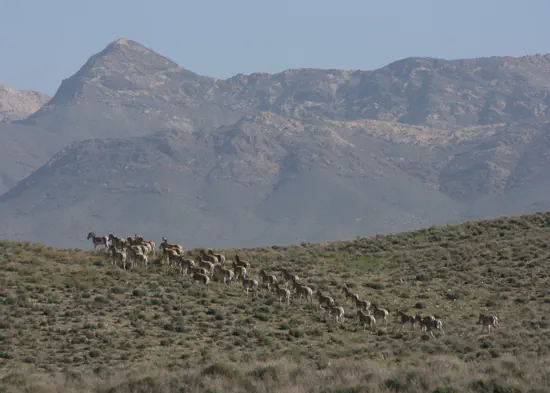 G4B - Grasslands for biodiversity