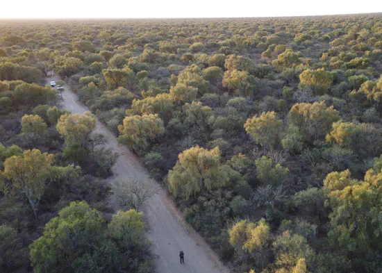 Which conservation strategies balance conservation and other land uses?